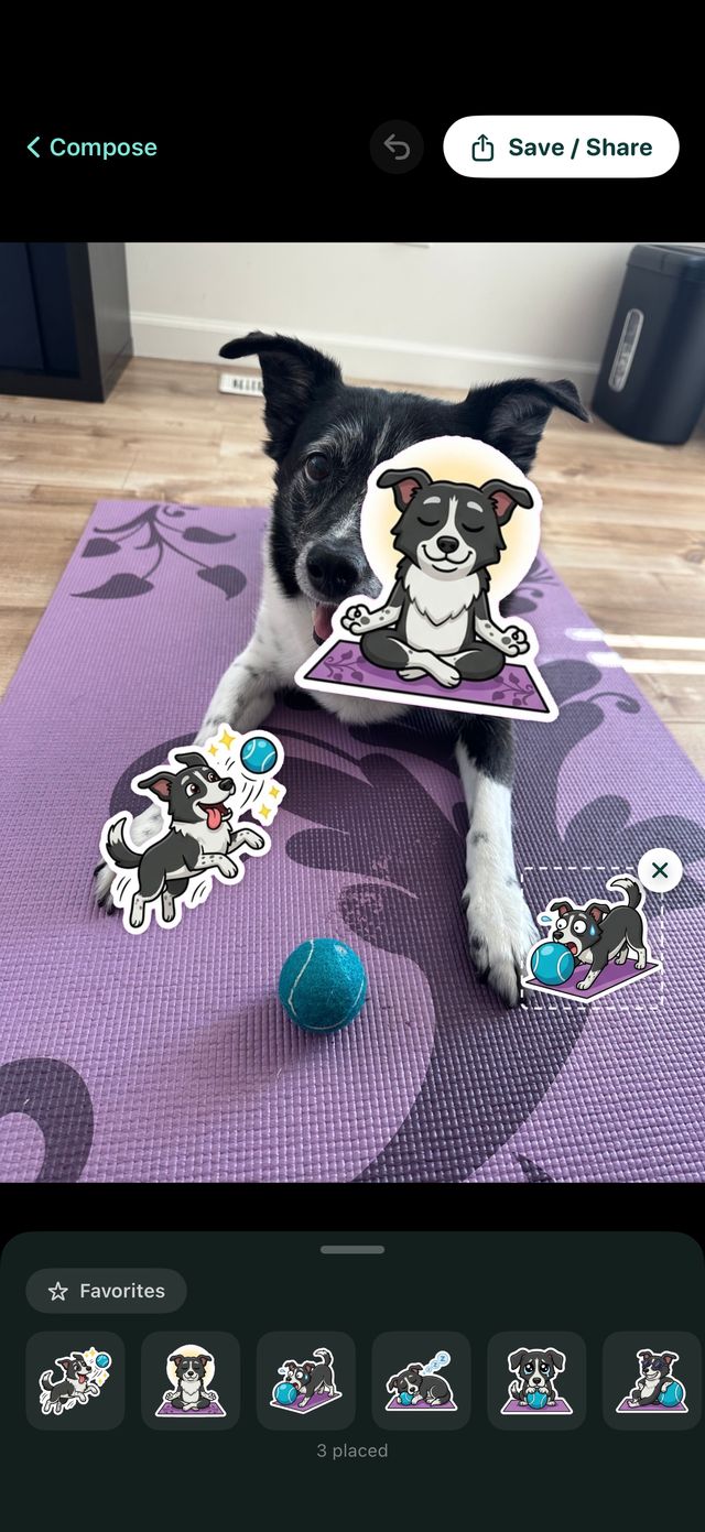 Compose: three stickers placed over the original photo of the dog.